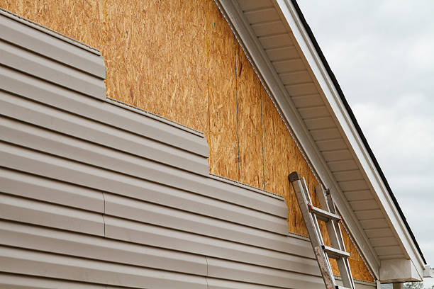 Professional Wood Siding technician working in Oak Ridge, FL